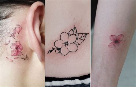 Meaning Of Cherry Blossom Flower Tattoo | Best Flower Site