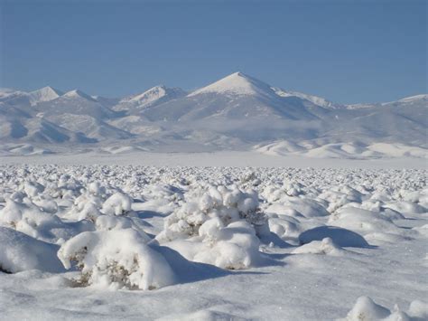 nevada snow | Desert climate, Great basin, Cold deserts