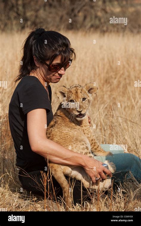 Woman tourist holding lion cub Stock Photo - Alamy