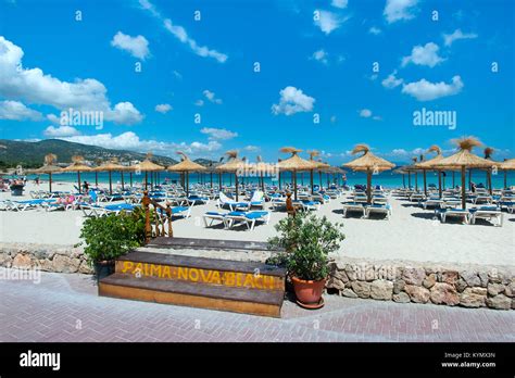 Palma Nova Beach, Majorca, Balearics, Spain Stock Photo - Alamy