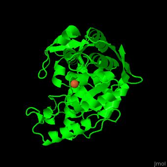 Hydroxylase - Proteopedia, life in 3D