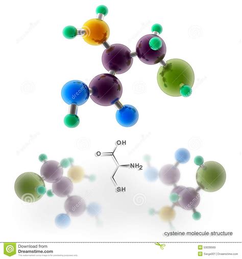 Cysteine Molecule Structure Stock Illustration - Illustration of ...