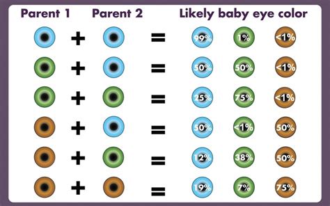 Eye Color Genetics