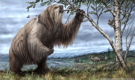 Jefferson's Ground Sloth browsing on foliage in Pleistocene North ...