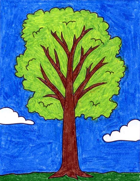 Easy How to Draw a Tree Tutorial Video and Tree Coloring Page