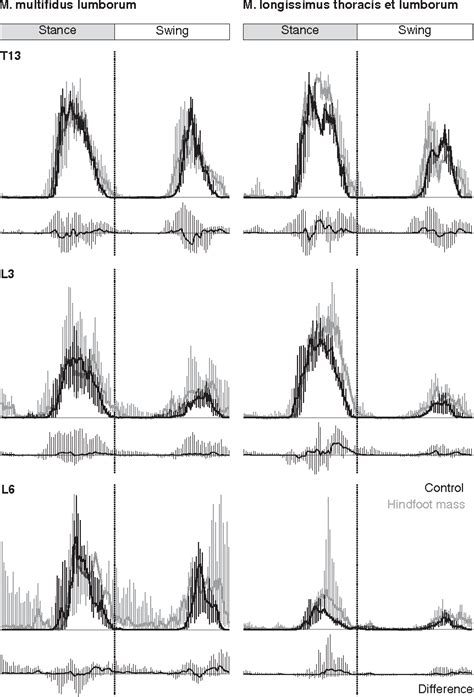 [PDF] Function of the epaxial muscles during trotting | Semantic Scholar