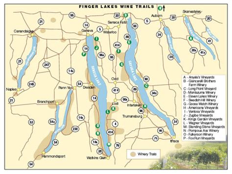 Finger Lakes Wine Trails Archives - Finger Lakes Wine Tour