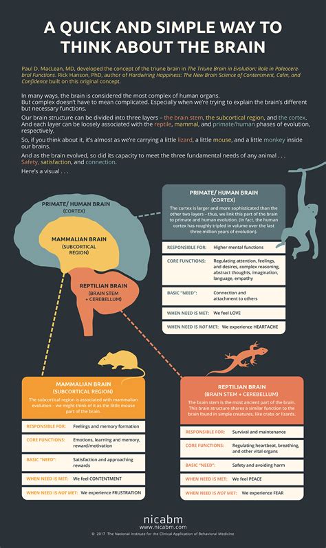 Infographic Brain