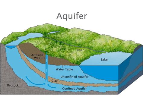 Aquifer Water Table Diagram Water Table Aquifer Diagram