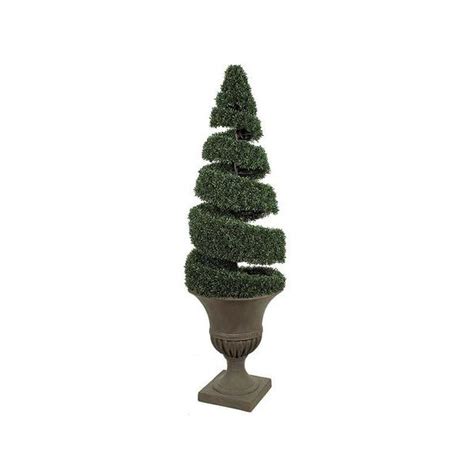 Boxwood Open Spiral Topiary - Greenscape Design & Decor