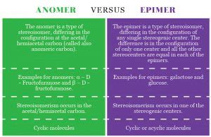 Difference Between Anomers and Epimers - KnowsWhy.com