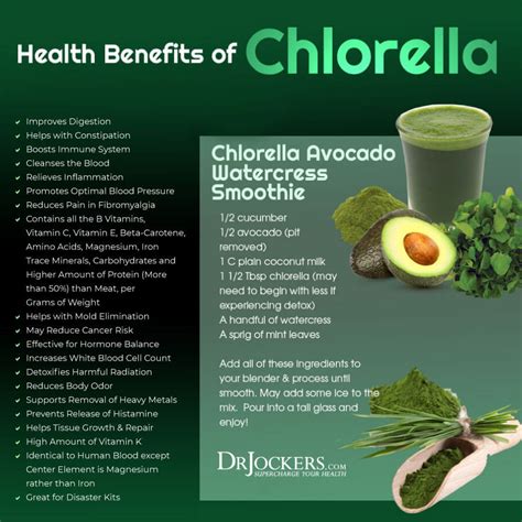 Chlorella: 7 Super Health Benefits For Brain and Body - DrJockers.com