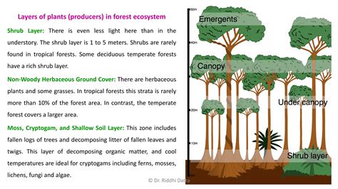 Types of Ecosystems | PPT