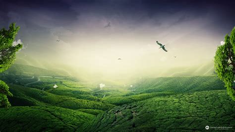 🔥 [48+] Green Nature Wallpapers HD | WallpaperSafari