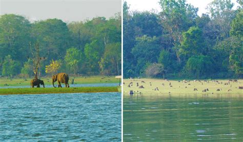 Kabini River - Wayanad Coffee Trail