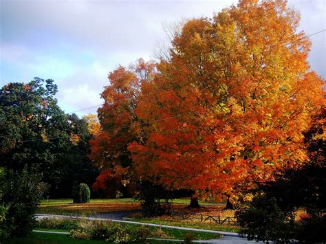 Autumn in Vermont :) | Autumn scenery, Autumn landscape, Secret garden