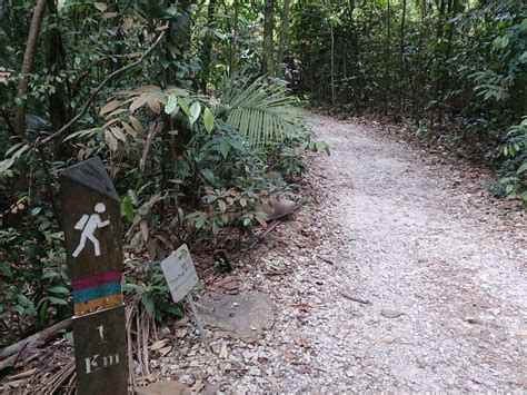 5 Best Hiking Trails in Singapore | Singapore Travel Blog- redBus