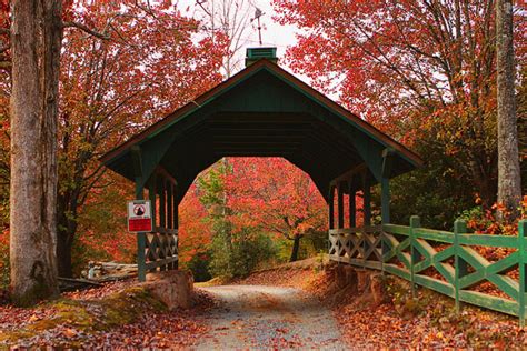 Fall in Blue Ridge | The Best Things to Do in Blue Ridge, Georgia