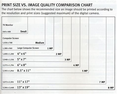 art print sizes chart - Lucile Cotton