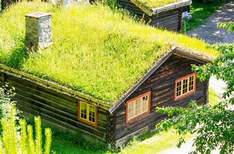 Green Roofs: Examples of Unique Eco-Friendly Roofs | Modernize