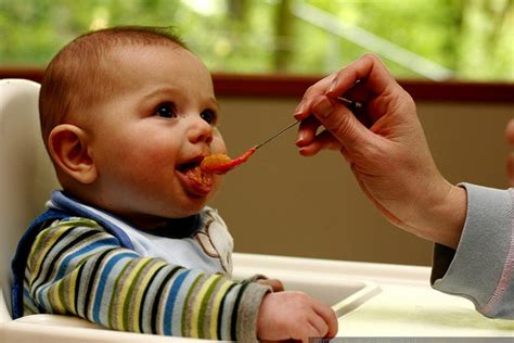 The 3 Best Tips for Feeding Your Baby Healthy Foods