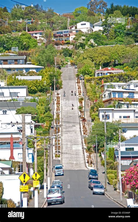 Baldwin Street, world's steepest, in Dunedin, Otago, New Zealand Stock ...