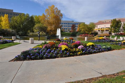 Denver's Greenwood Village - Charming Country Ambiance in the City