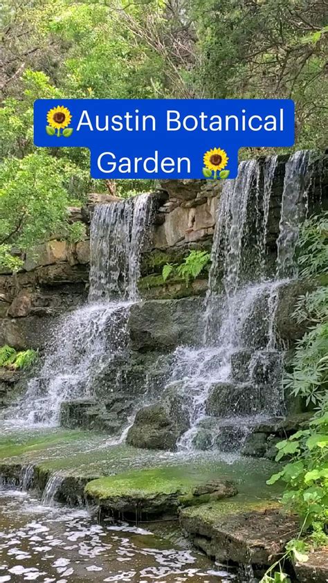 🌻Austin Botanical Garden 🌻: An immersive guide by summer