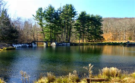 Allegany State Park, a New York State Park located near Bradford, Warren