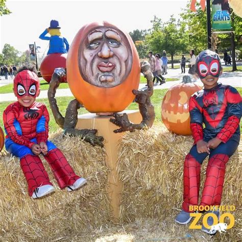 Boo! At the Zoo: No Tricks, Just Treats! - Zoo Guide