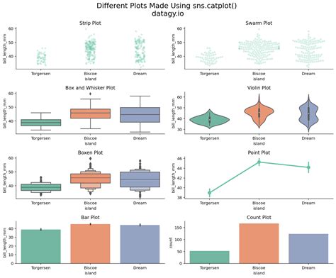 Seaborn catplot - Categorical Data Visualizations in Python • datagy