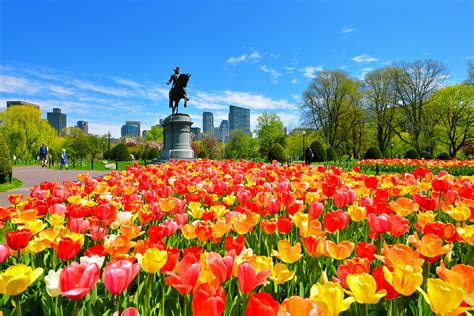 Boston Public Garden App Offers Interactive Tour