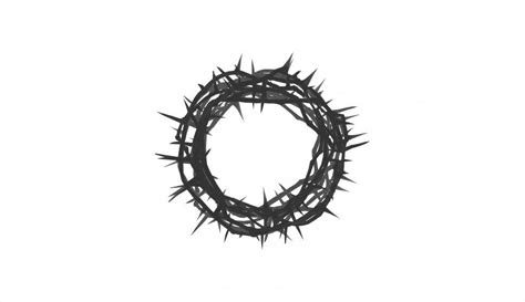 Free Stock Photo of Crown of Thorns - Symbol of Pain and Sacrifice ...