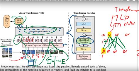 computer vision transformers: ViT does not have a decoder? - Data ...