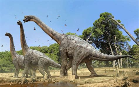 Brachiosaurus – huge herbivorous dinosaurs | DinoAnimals.com