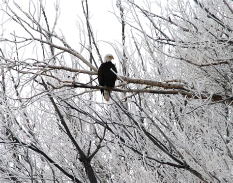 U.S. Fish and Wildlife Service, Open Spaces Blog