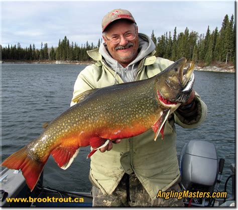 Manitoba Record Brook Trout