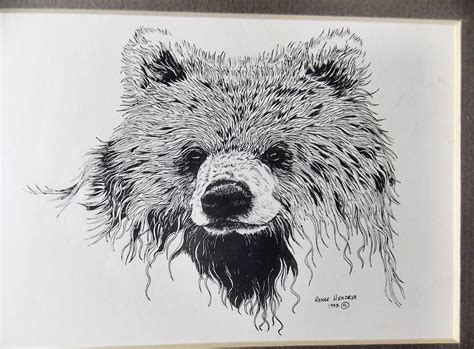 Framed Matted Wildlife Young Bear Art Print, Pen and Ink Animal Art ...