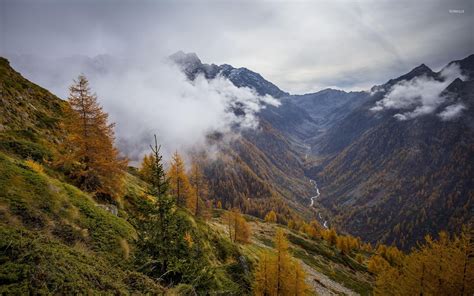 Fog rising from the autumn mountain forest wallpaper - Nature ...