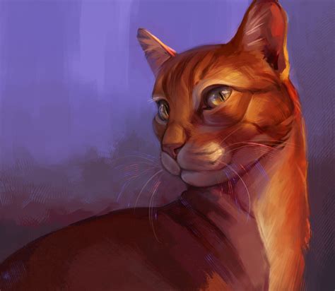 Warrior Cat Drawings Firestar