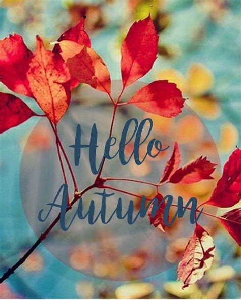 Hello Autumn Wallpapers - Top Free Hello Autumn Backgrounds ...