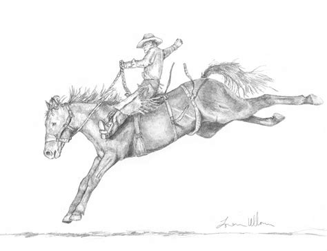 Bucking Horse Drawing at PaintingValley.com | Explore collection of ...