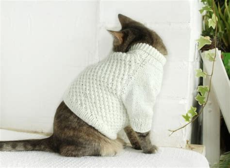 15 Cat Sweater Knitting Patterns - Knitting News