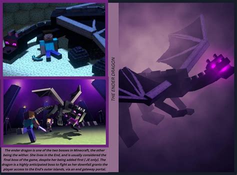 MINECRAFT ENDER DRAGON: THE ENDER DRAGON by Lasore Bamidele | Goodreads