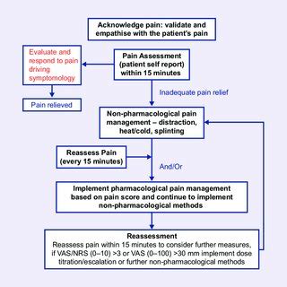 1a Management of acute pain symptoms -adults | Download Scientific Diagram