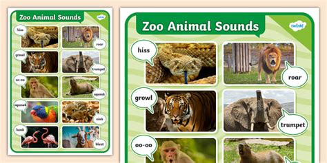 Zoo Animal Sounds Display Poster (teacher made) - Twinkl