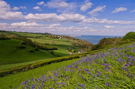 Isle of Wight Coastal Path Walking Holidays - 2025 & 2026