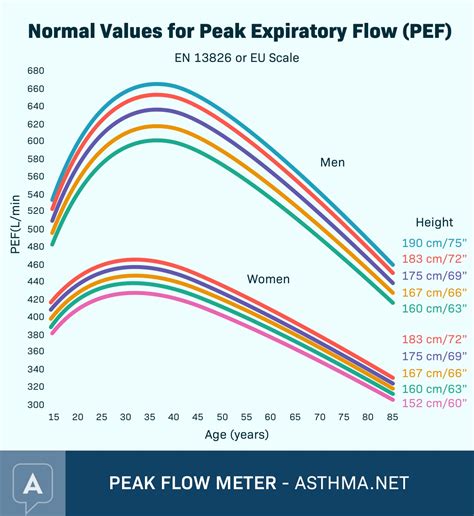 Peak Flow Chart By Age - Best Picture Of Chart Anyimage.Org