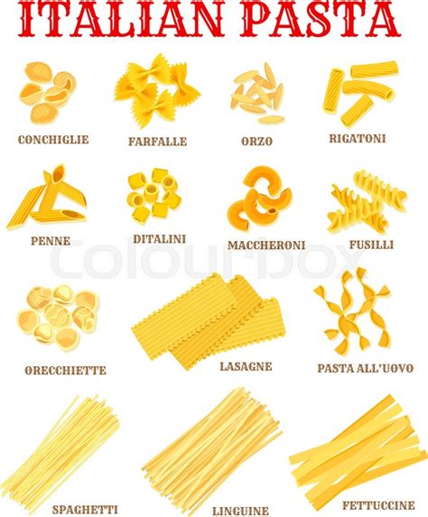 Italian pasta list of different shapes ... | Stock vector | Colourbox