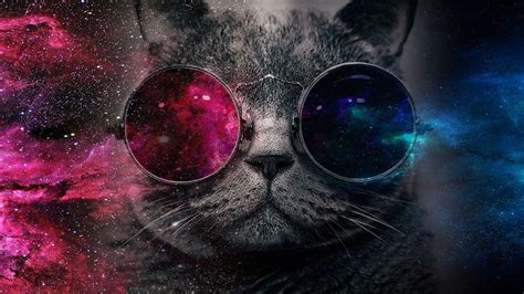 Glasses Cat Galaxy Wallpapers - Top Free Glasses Cat Galaxy Backgrounds ...